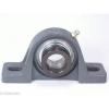 FHPW204-20mmG Pillow Block Cast Iron Light Duty 20mm Ball Bearings Rolling #4 small image